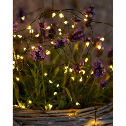 Guirlande Lumineuse 40 Leds Knirke Clear Vert Outdoor Sirius
