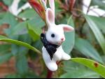 Collier Porcelaine Baby Bunny Blanc Noeud Noir Chaine Argentée